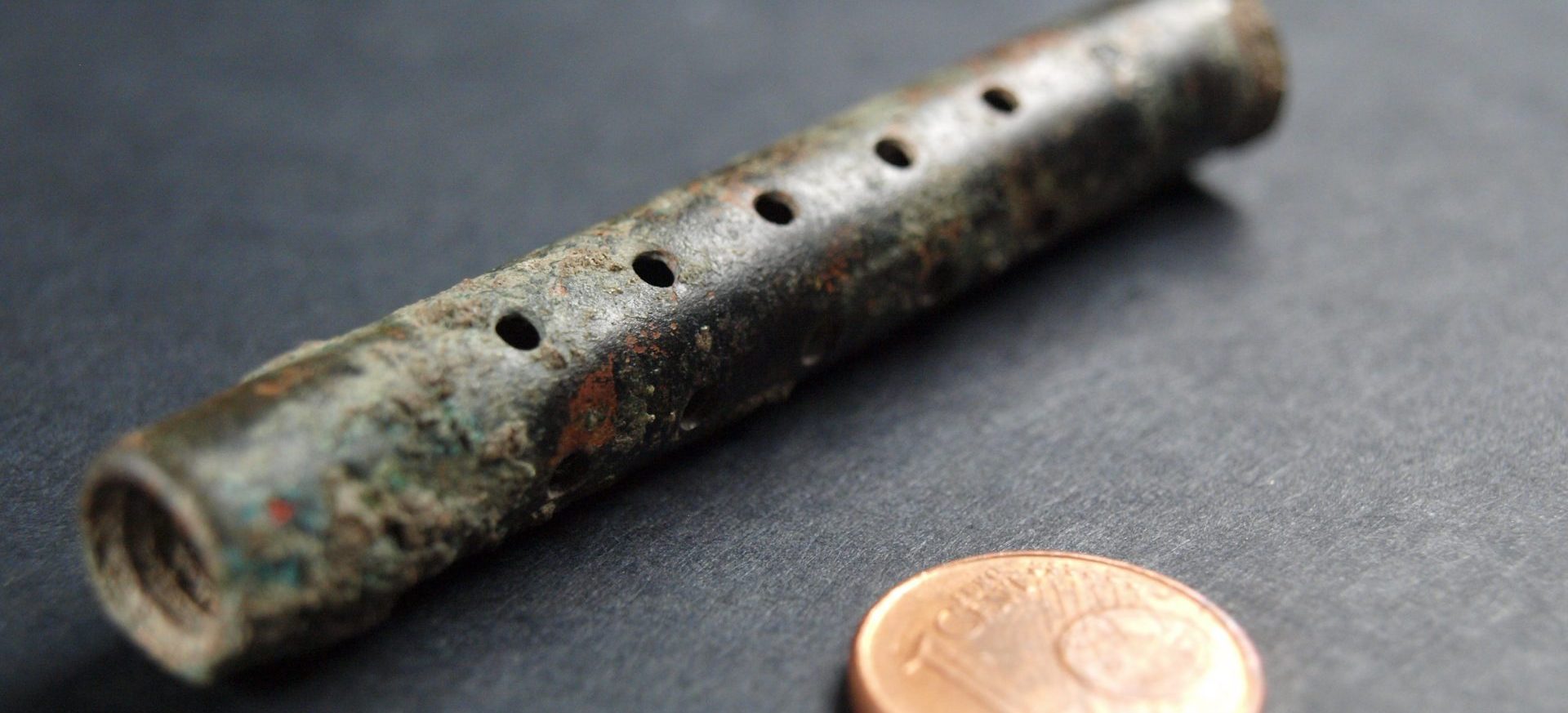 Der Franz, die Flöhe, und wie man sie fängt Archäologie