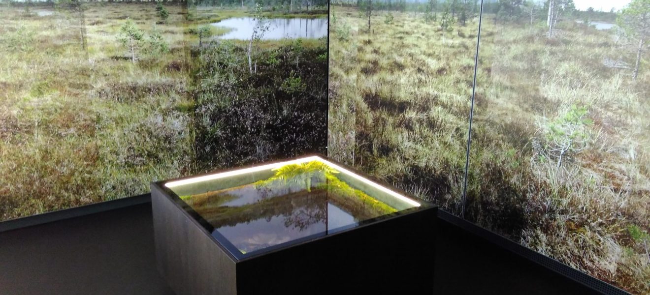 In der archäologischen Sammlung des Ostfriesischen Landesmuseums Emden wird der Mann von Bernuthsfeld im Kontext seiner Zeit ausgestellt. (Foto: Jan. F. Kegler) In der archäologischen Sammlung des Ostfriesischen Landesmuseums Emden wird der Mann von Bernuthsfeld im Kontext seiner Zeit ausgestellt. (Foto: Jan. F. Kegler)