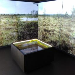 In der archäologischen Sammlung des Ostfriesischen Landesmuseums Emden wird der Mann von Bernuthsfeld im Kontext seiner Zeit ausgestellt. (Foto: Jan. F. Kegler)