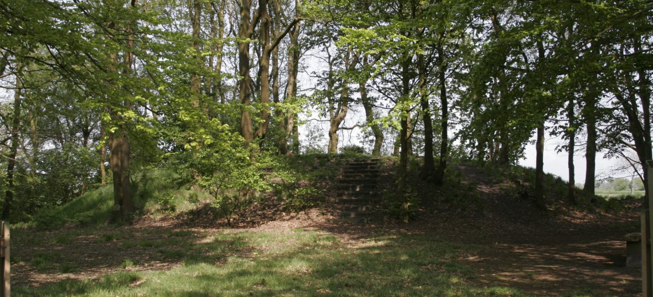 Der Radbodsberg bei Brill. (Foto: Sonja König, Ostfriesische Landschaft)