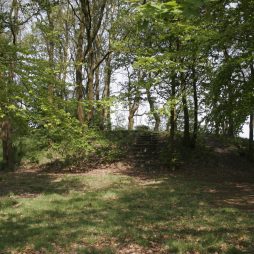 Der Radbodsberg bei Brill. (Foto: Sonja König, Ostfriesische Landschaft)