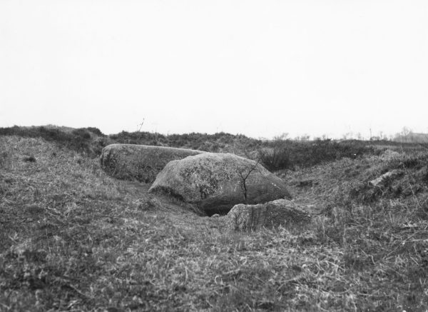 Abb. 1: Dieses Foto entstand um das Jahr 1925. Die Gegend um das Großsteingrab war noch gänzlich unbebaut. (Foto: Bildarchiv der Ostfriesischen Landschaft Inv.-Nr. 937/99)