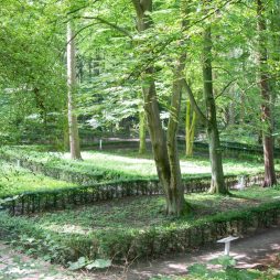 Niedrige Hecken bilden heute die Mauern der Klosterkirche nach. (Foto: Sebastian Schatz, Ostfriesische Landschaft)