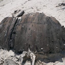 Teil des Bugs des auf Norderney gefundenen Schiffswracks. Foto: Ostfriesische Landschaft